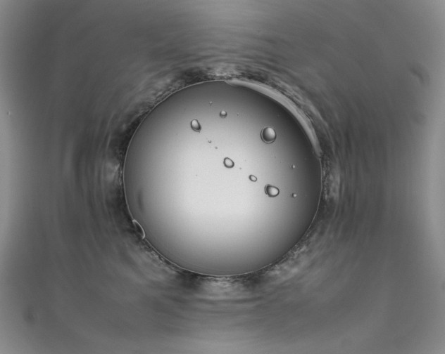 X0000111490521200907141241