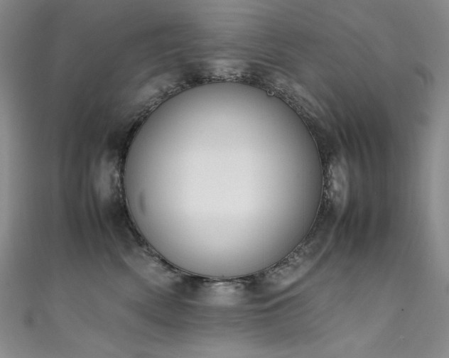 X0000111490522200907141241