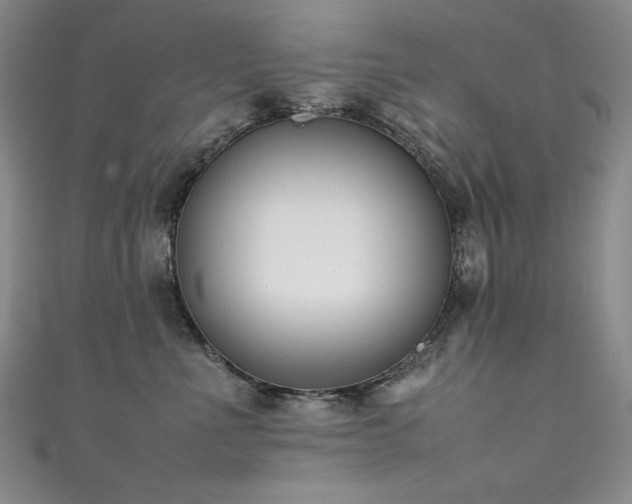 X0000111490523200907141241