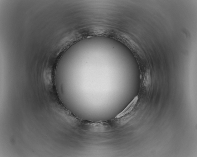 X0000111490524200907141241