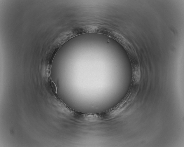 X0000111490525200907141241
