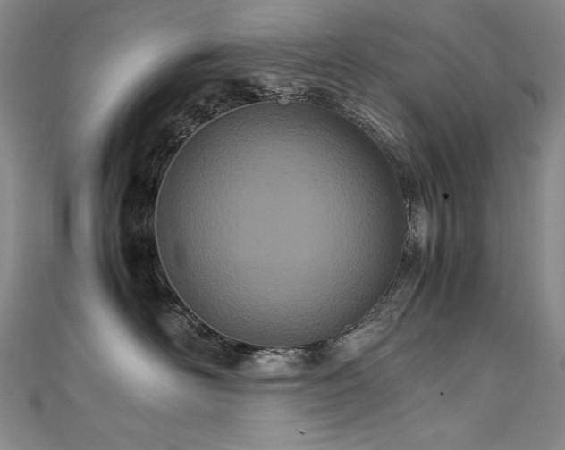 X0000111490526200907141241