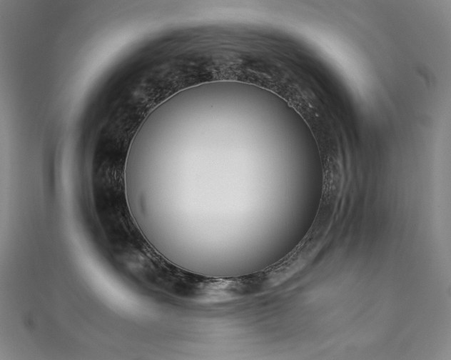 X0000111490527200907141241