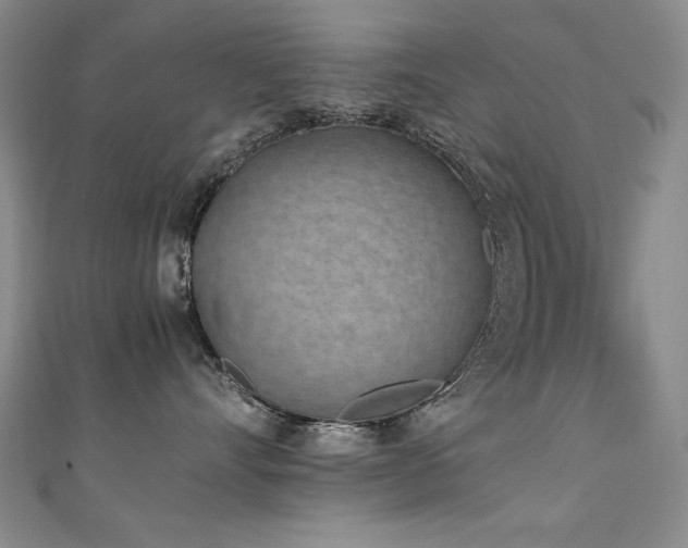 X0000111490528200907141241