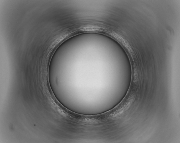 X0000111490529200907141240