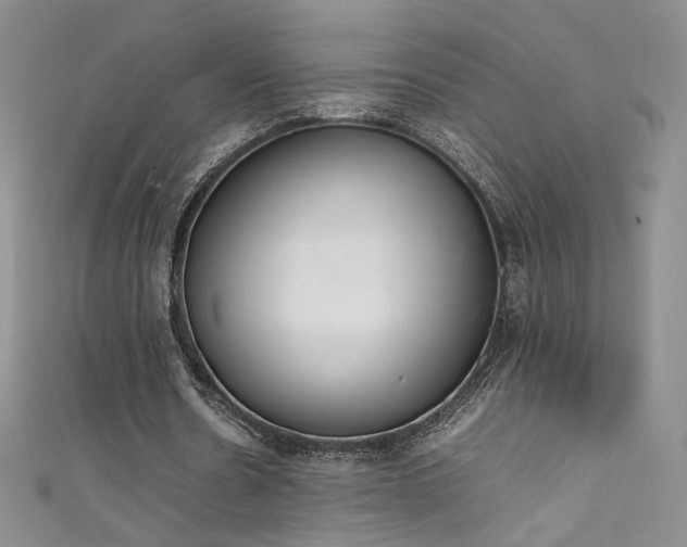 X0000111490530200907141240