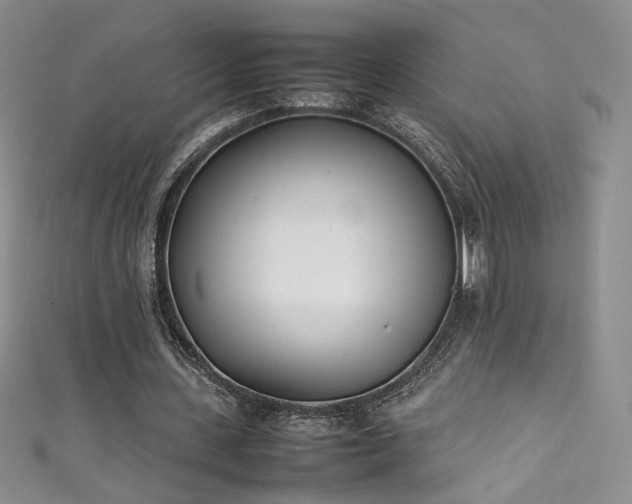 X0000111490531200907141240