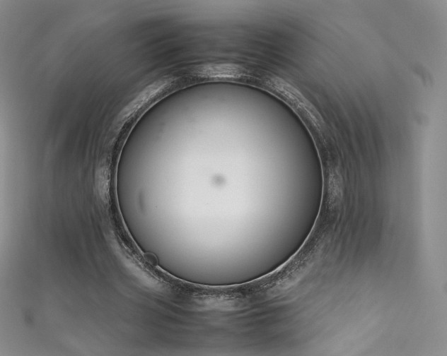 X0000111490533200907141240