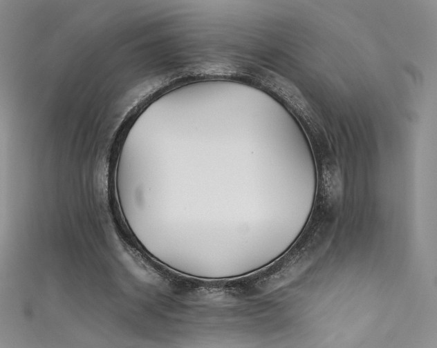 X0000111490534200907141240