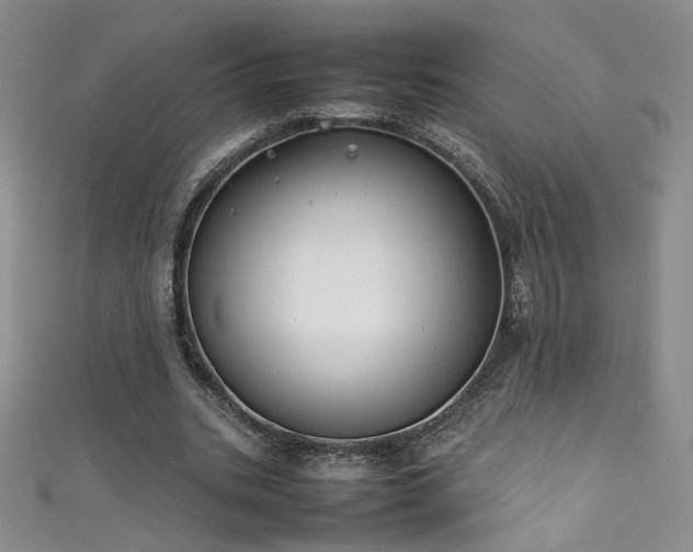 X0000111490535200907141240