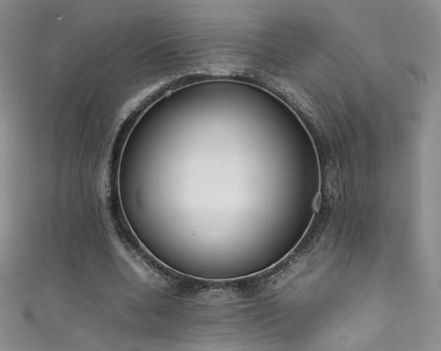 X0000111490536200907141240