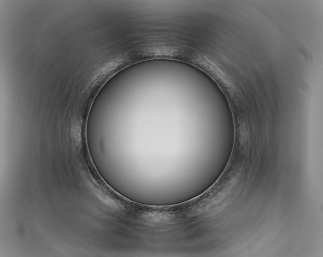 X0000111490537200907141240