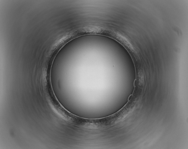 X0000111490538200907141240