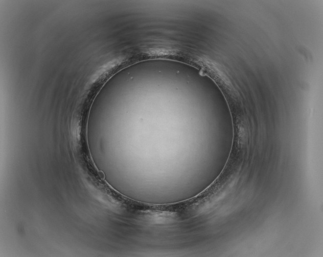 X0000111490539200907141240