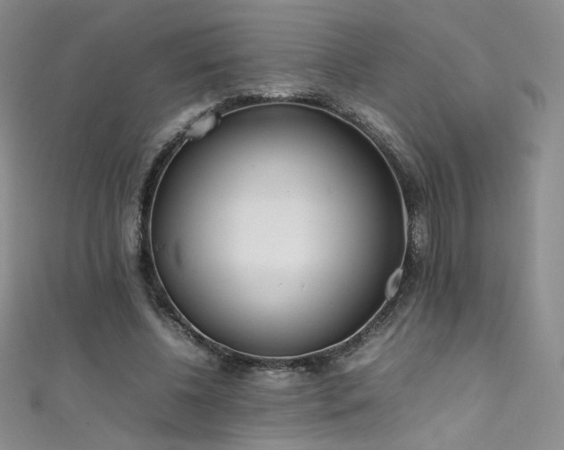 X0000111490540200907141240