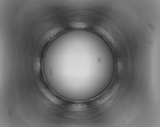 X0000111490541200907141240