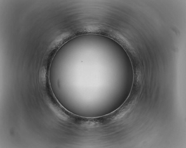 X0000111490542200907141240
