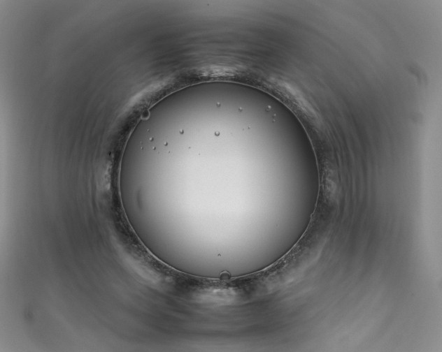 X0000111490543200907141240