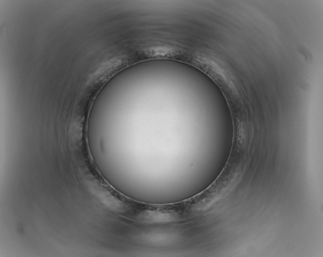 X0000111490545200907141241