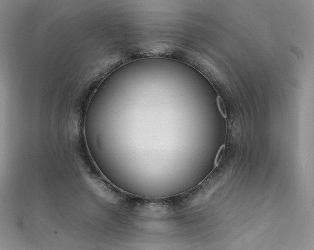 X0000111490546200907141241
