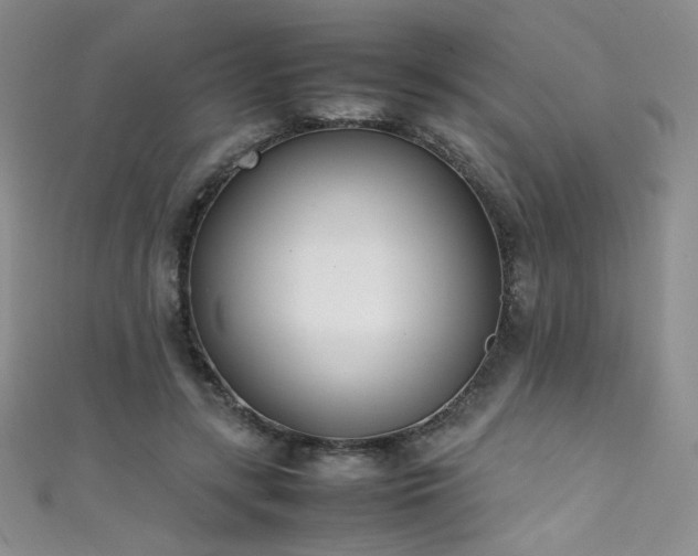 X0000111490547200907141241