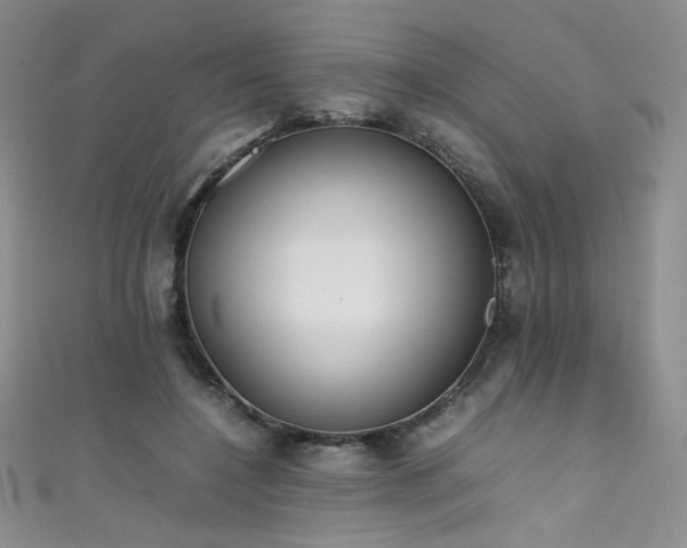 X0000111490548200907141241