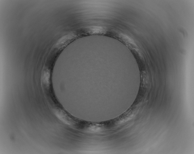 X0000111490550200907141241