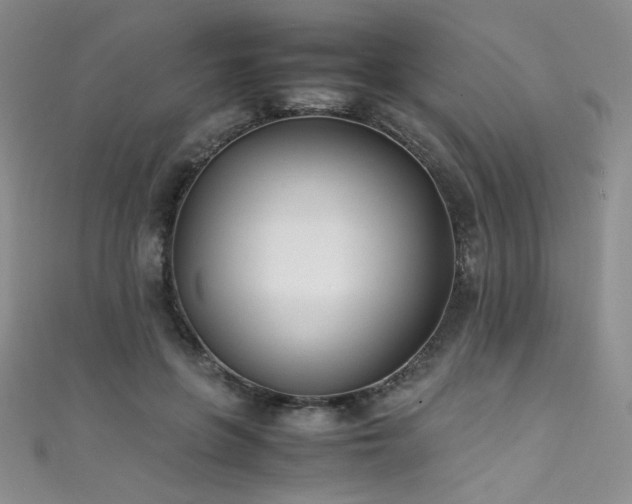 X0000111490551200907141241