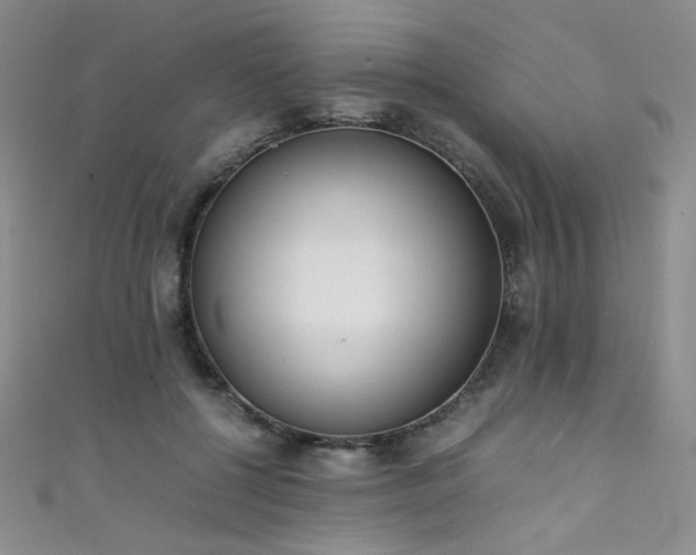 X0000111490552200907141241