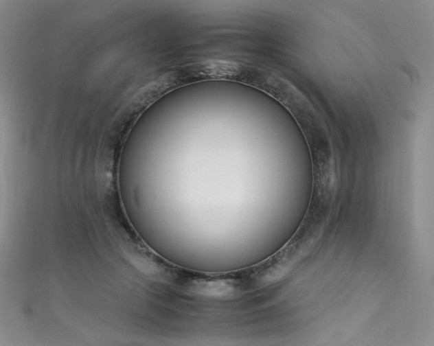 X0000111490553200907141241