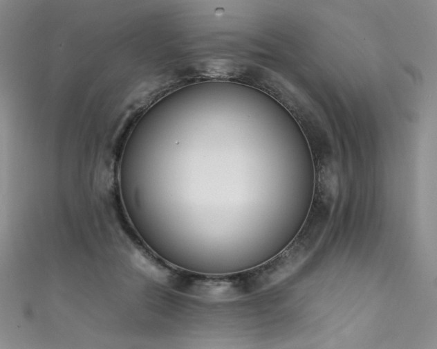 X0000111490554200907141241