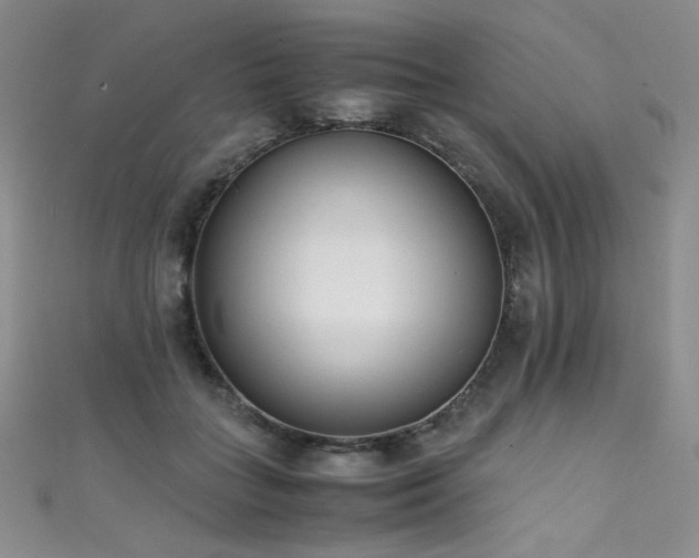 X0000111490555200907141241