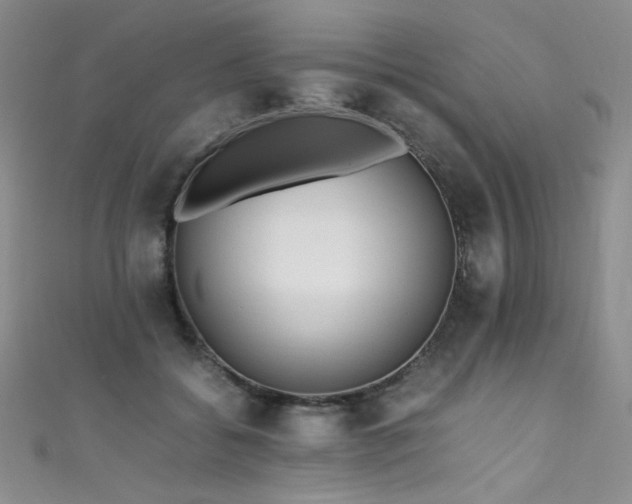X0000111490556200907141241