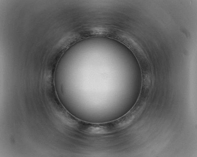 X0000111490557200907141241