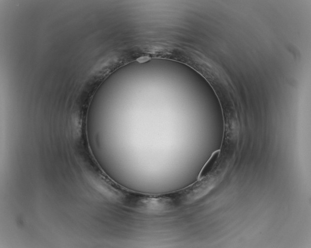 X0000111490558200907141241