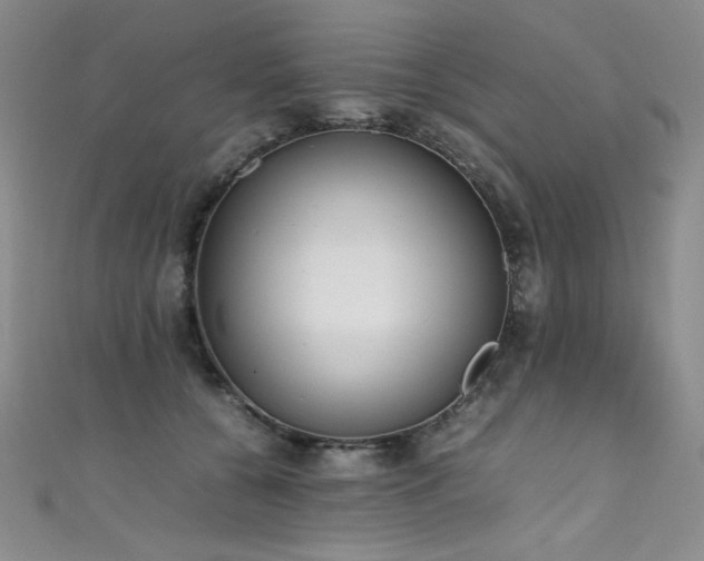 X0000111490560200907141241