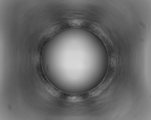 X0000111490561200907141241