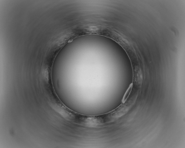 X0000111490562200907141241