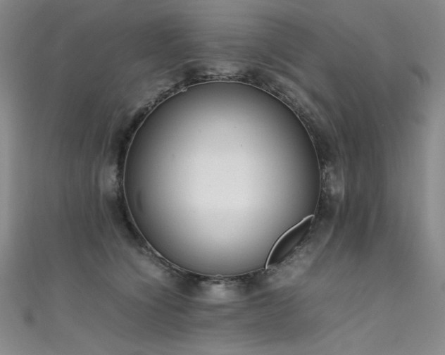 X0000111490564200907141241