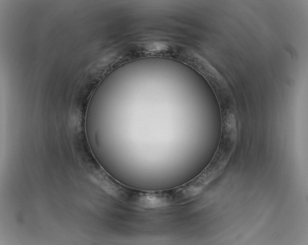 X0000111490565200907141241