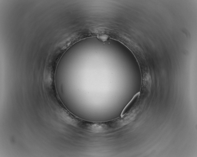 X0000111490566200907141241