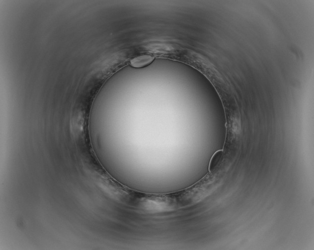 X0000111490567200907141241