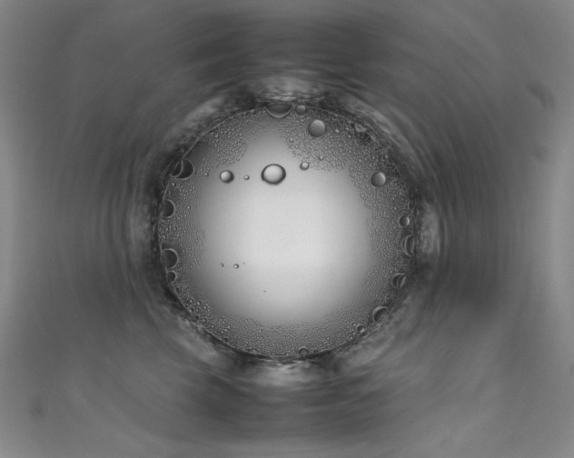 X0000111490569200907141241
