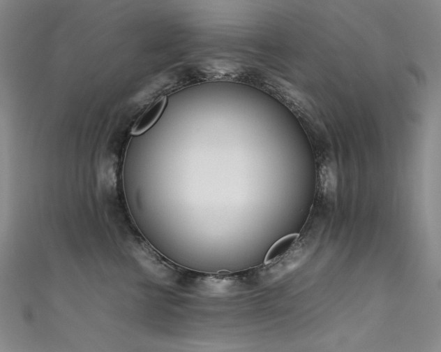 X0000111490570200907141241