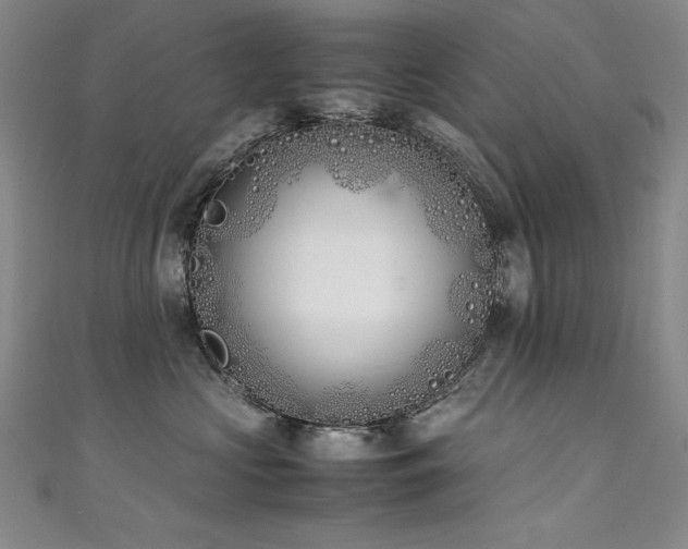 X0000111490573200907141241