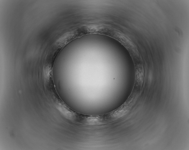 X0000111490574200907141241