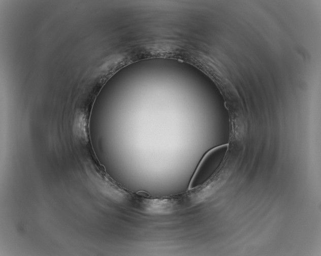 X0000111490575200907141241