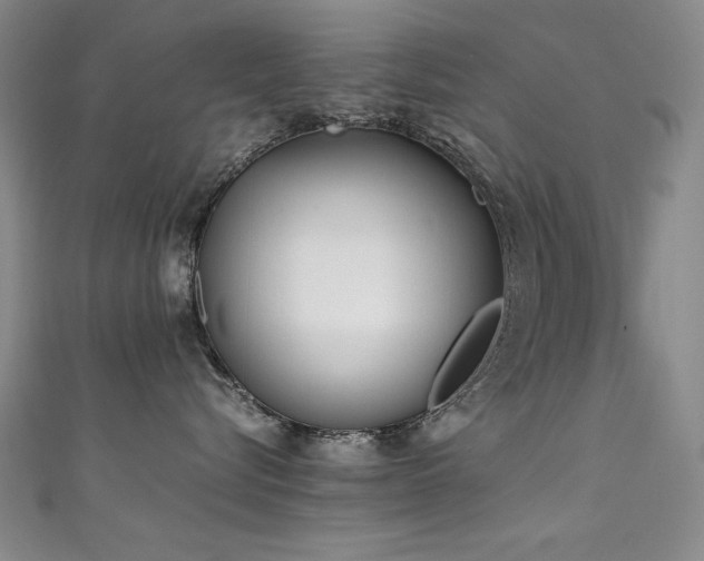 X0000111490576200907141241
