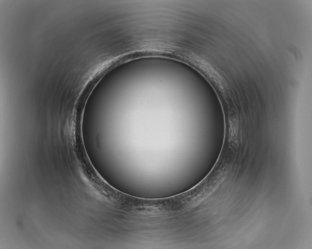 X0000111490580200907141240