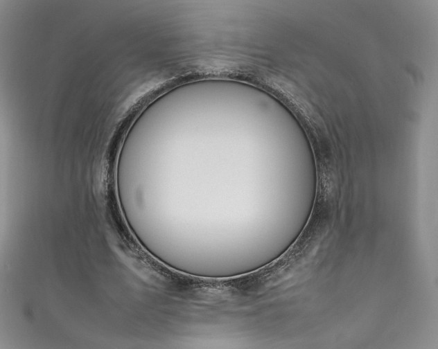 X0000111490583200907141240